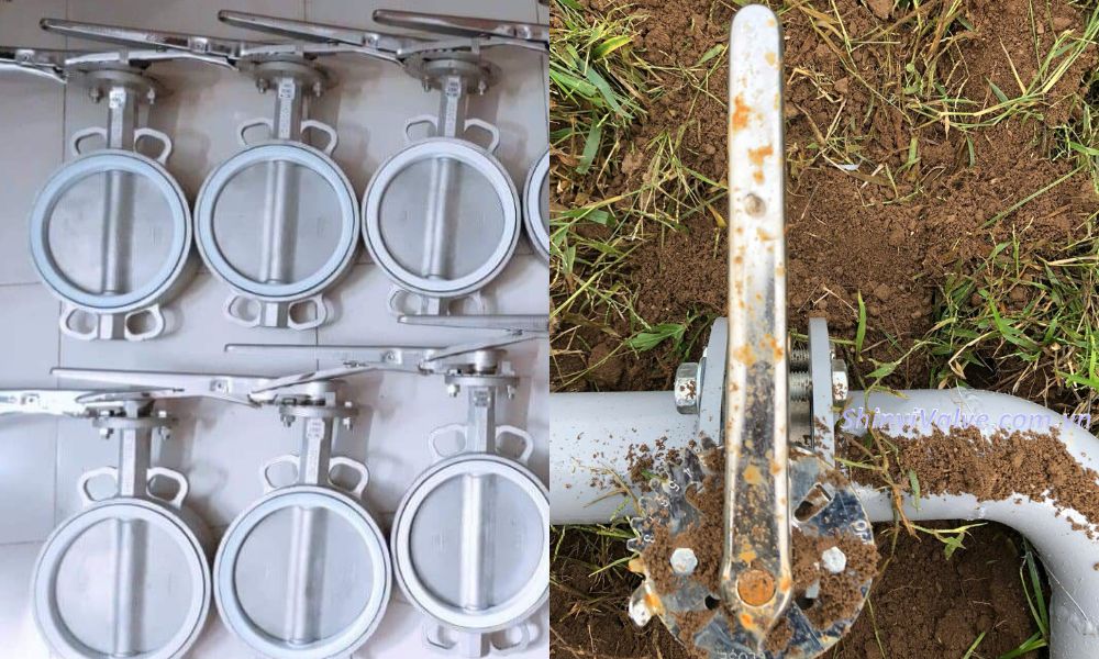 van bướm dn250 thủ công inox