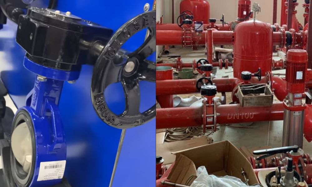 van bướm shinyi WBGS DN100