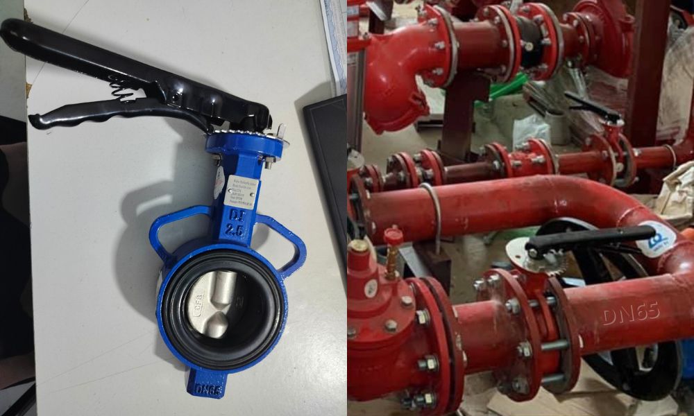 van bướm shinyi WBLS DN65