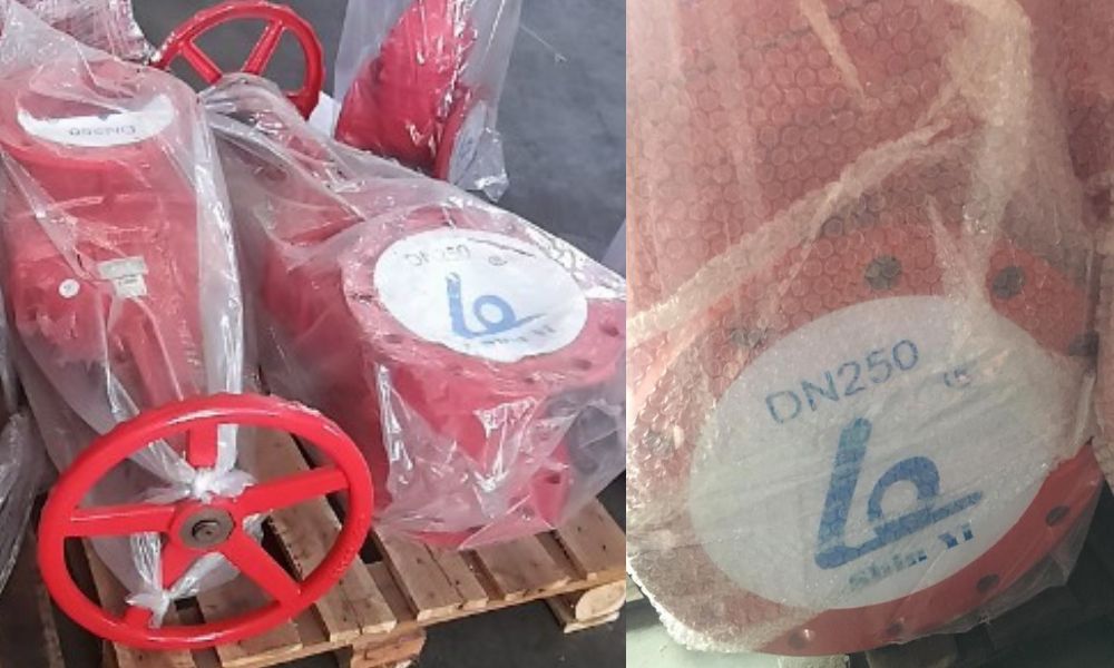 van cổng shinyi GRHX DN250