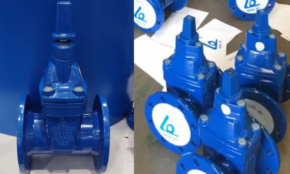 van cổng shinyi GVCX DN100