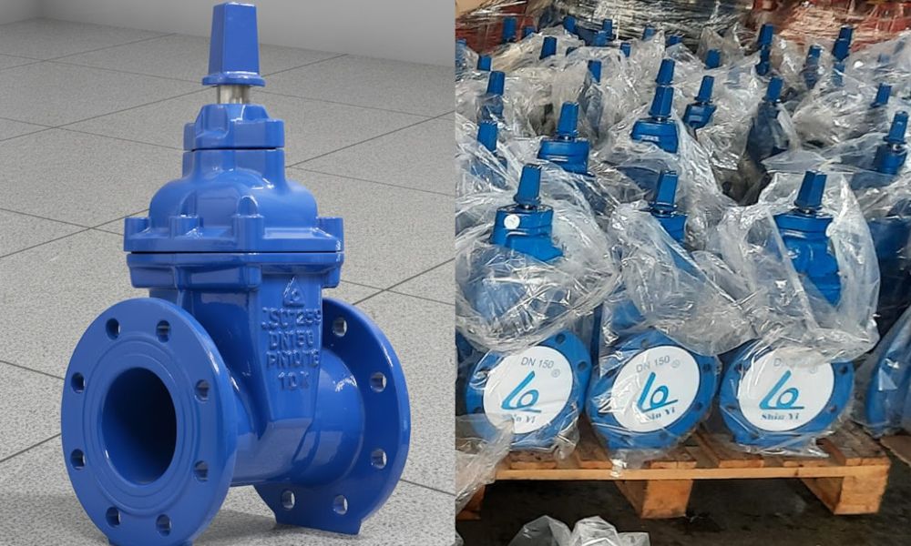 van cổng shinyi GVCX DN150