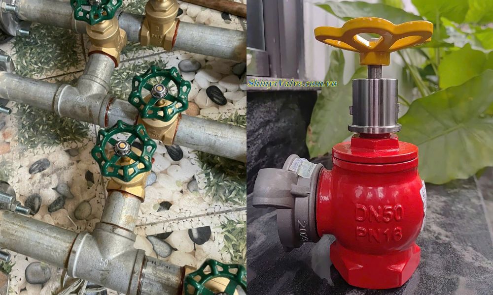 van phụ kiện dn50 là phi bao nhiêu