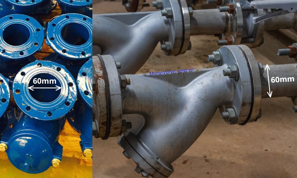 y lọc dn50 và d50