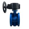 shinyi fbgs dn50 01