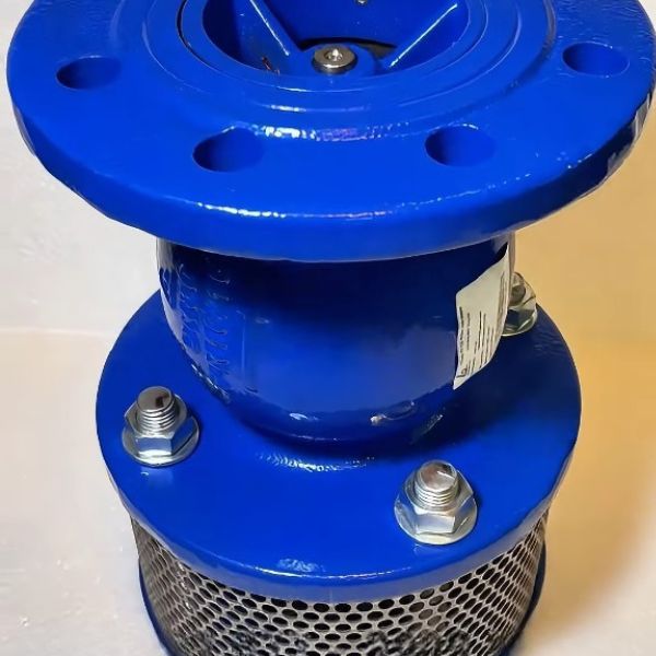 SFVX-DN50-66-3 shinyi SFVX DN50 03