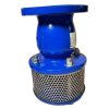 shinyi SFVX DN80 01