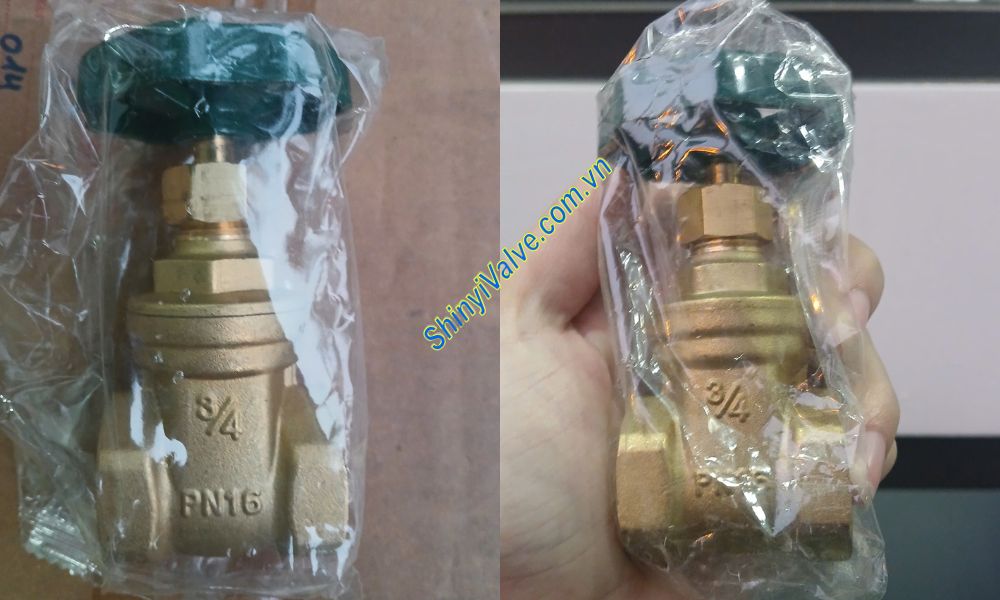 đại lý phân phối van cửa đồng shinyi RVHT DN20