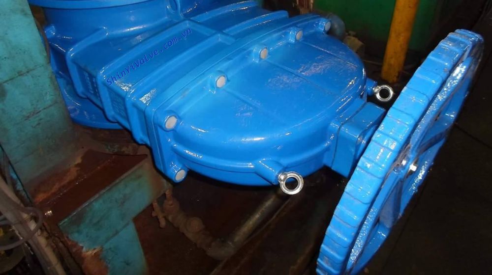 hiệu quả kinh tế của gang cầu