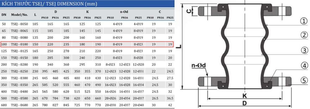 kích thước khớp shinyi tsej dn100