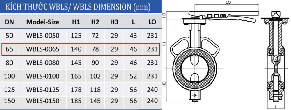 kích thước van shinyi WBLS DN65