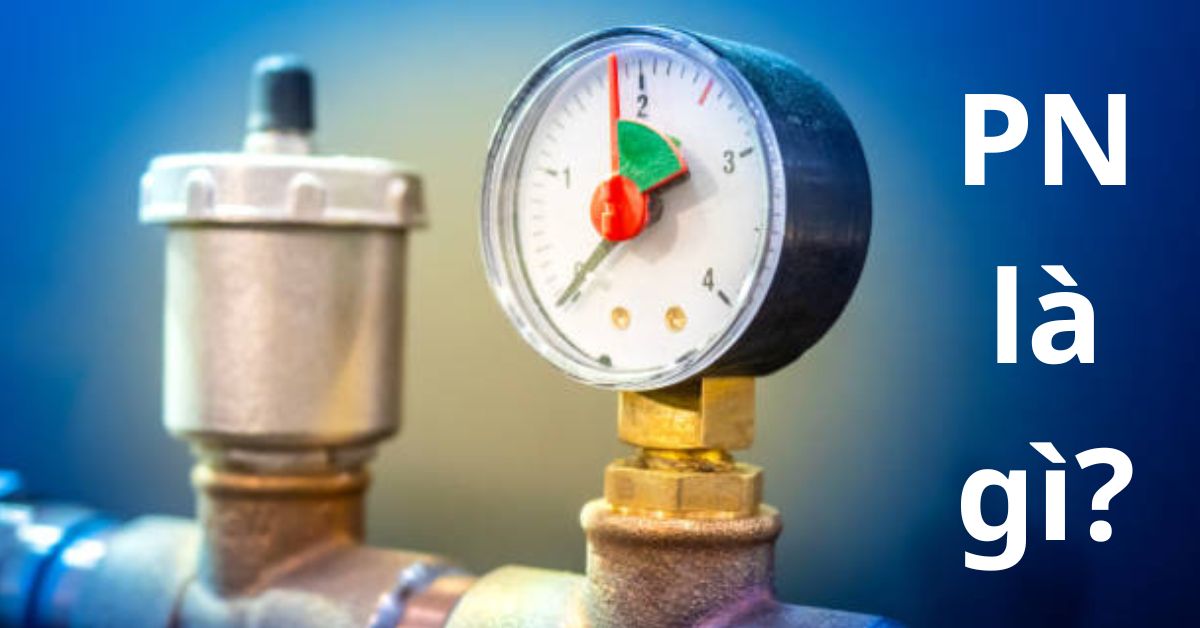 pn là gì