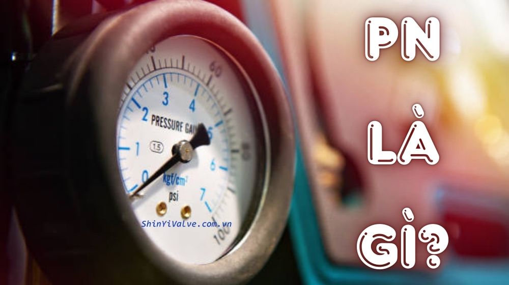 pn là gì