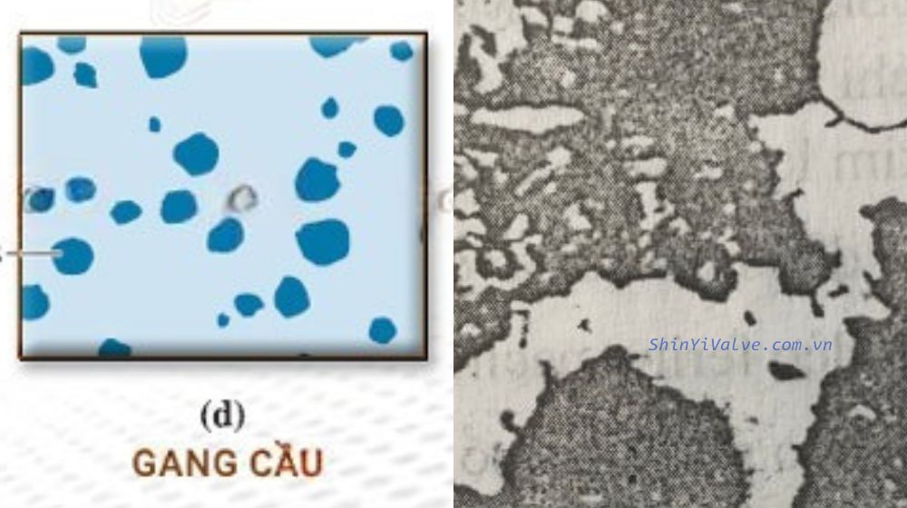 quá trình cầu hóa của gang cầu là gì