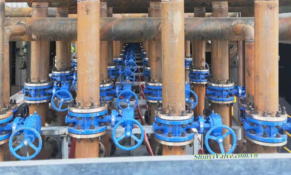 ứng dụng van shinyi fbgs dn80