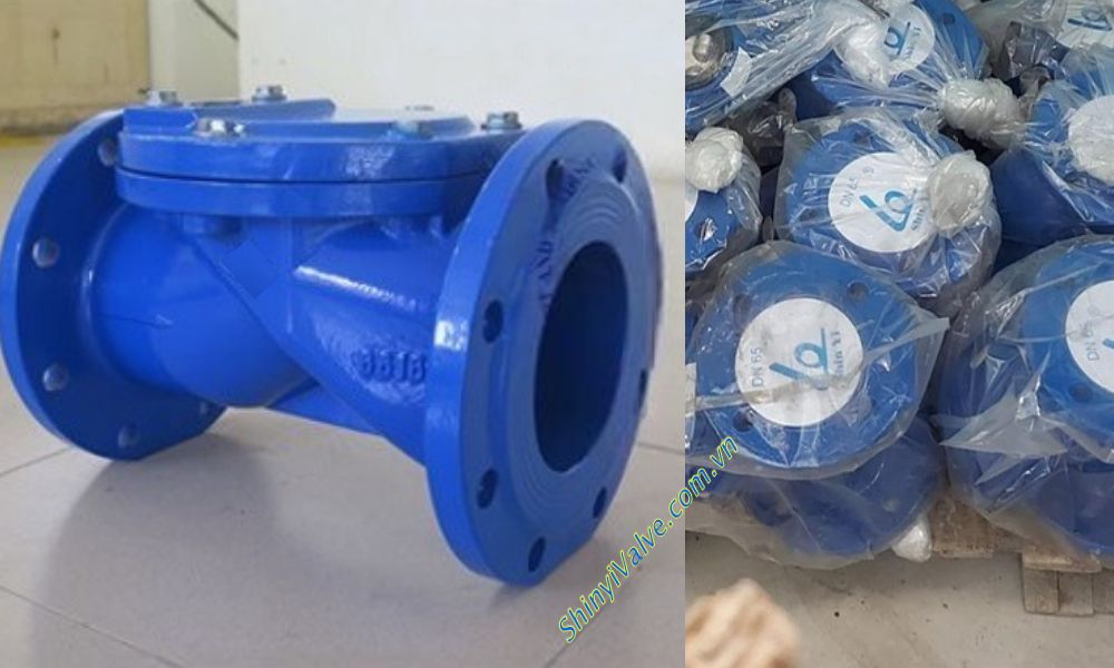 van 1 chiều lá lật shinyi RDCV DN65