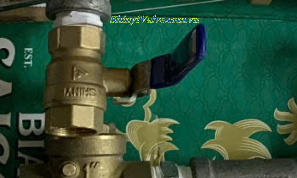 van bi đồng shinyi BALT DN20