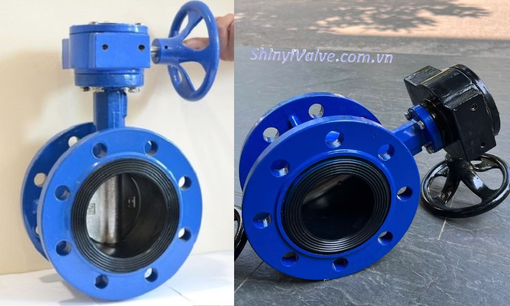 van bướm shinyi fbgs dn100