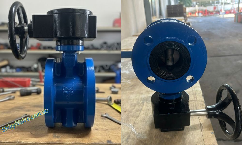 van bướm shinyi fbgs dn50