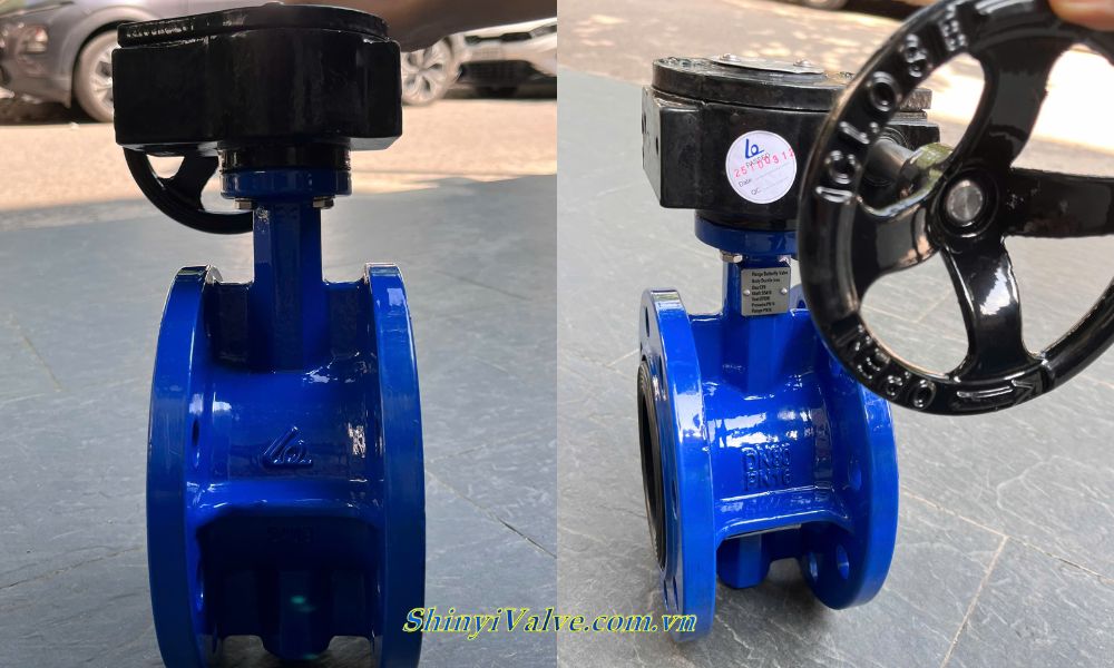 van bướm shinyi fbgs dn80