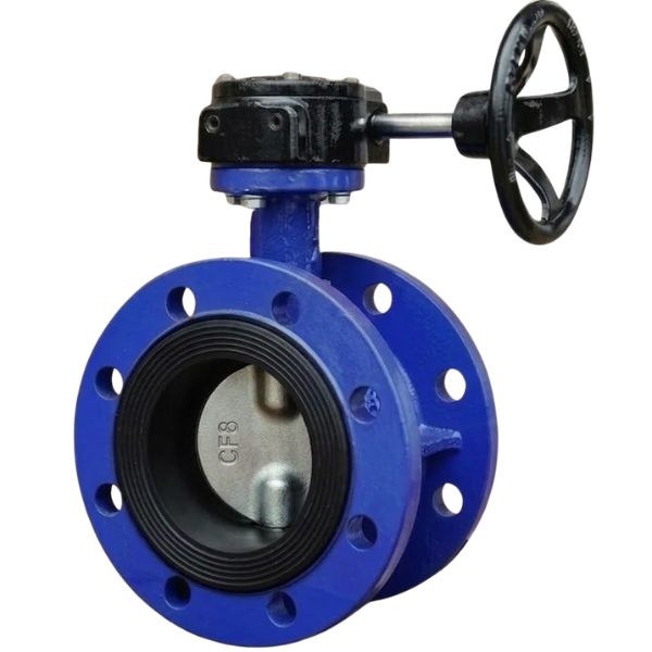 FBGS-DN125-66-11 shinyi FBGS DN125 01