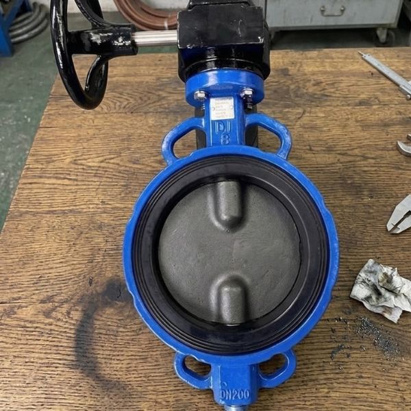 WBGS-DN200-66-2 shinyi WBGS DN200 02