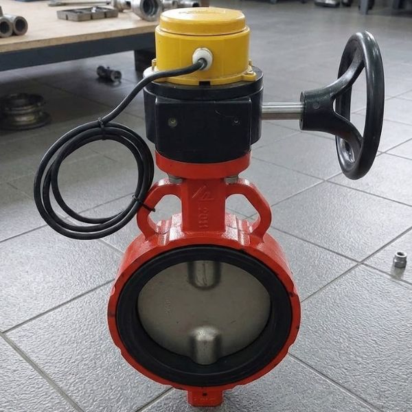 WBSS-DN200-66-2 shinyi WBSS DN200 02