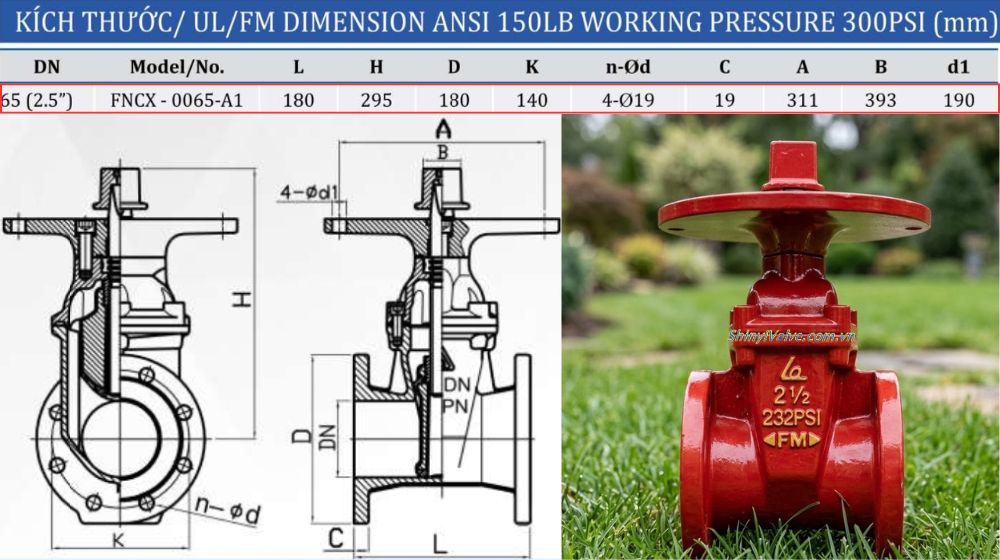 chi tiết kích thước của shinyi fncx 0065 a1