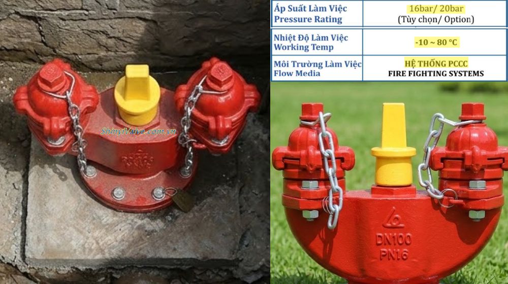 điều kiện làm việc của shinyi fhus dn100