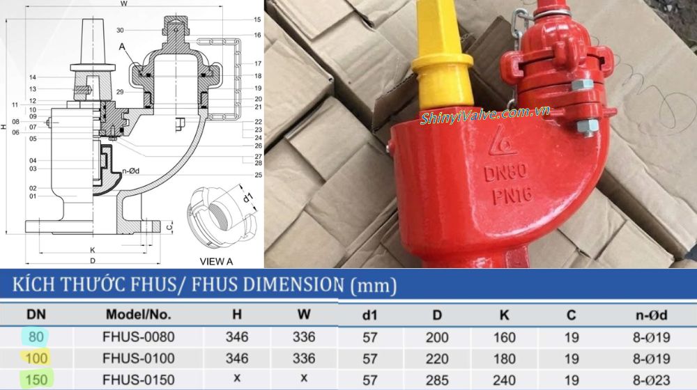 kích cỡ của trụ âm shinyi