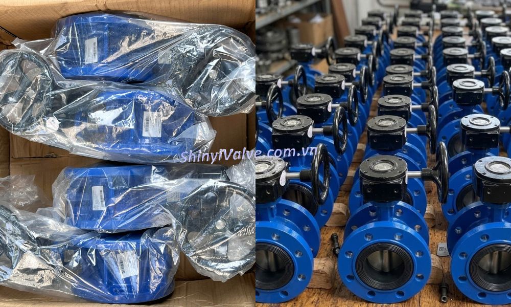 mua van shinyi FBGS DN65 ở đâu