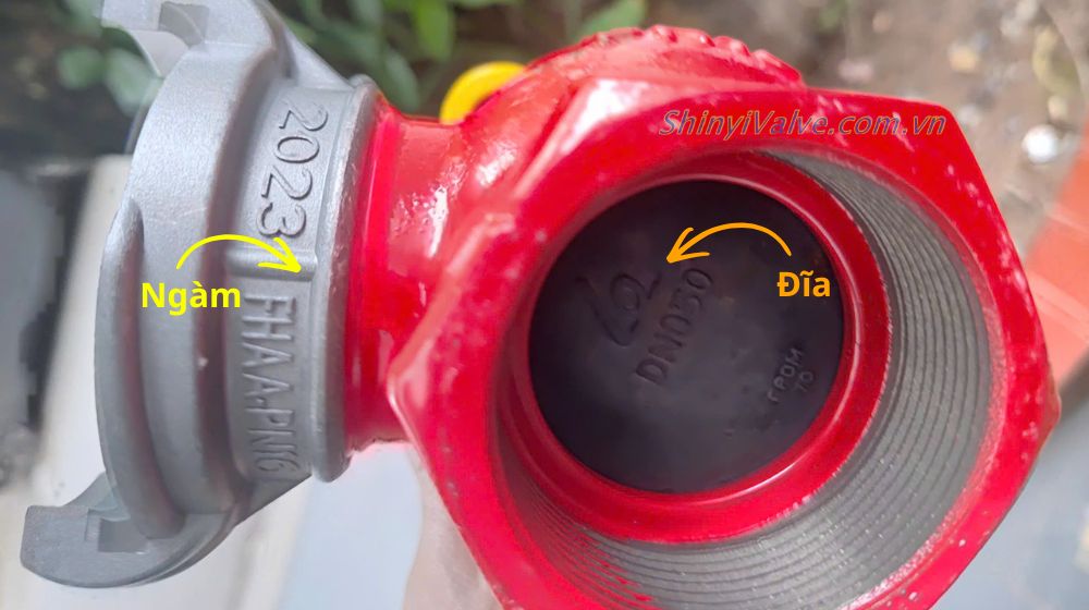 ngàm và đĩa của van shinyi fhra dn50