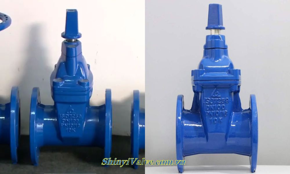 van cổng shinyi RVCX DN100