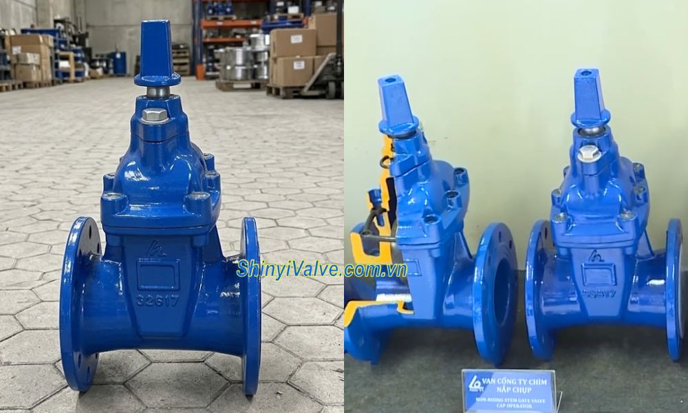 van cổng shinyi RVCX DN150