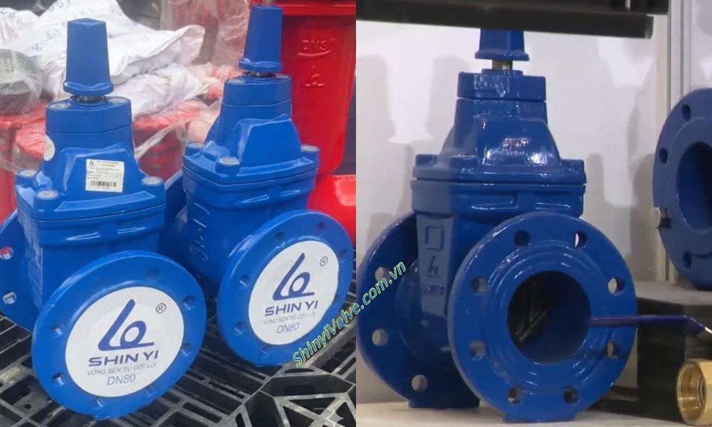 van cổng shinyi RVCX DN80