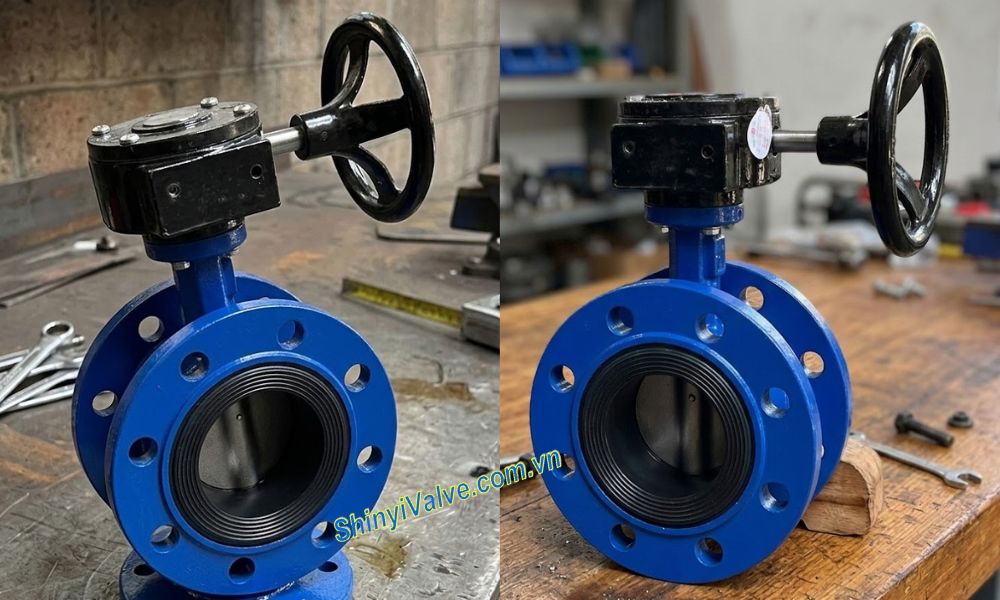 van shinyi FBGS DN65