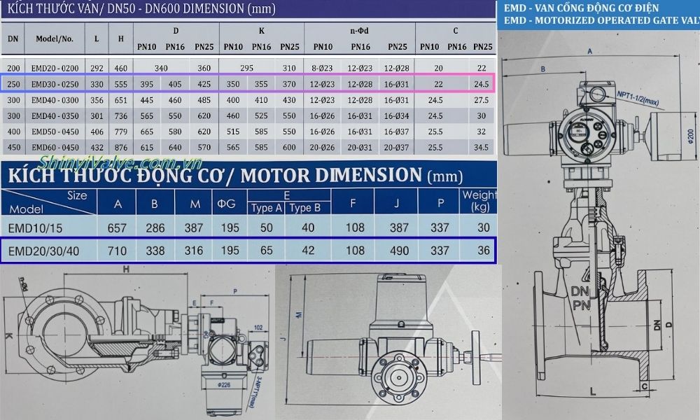 kích thước của van shinyi emd dn250